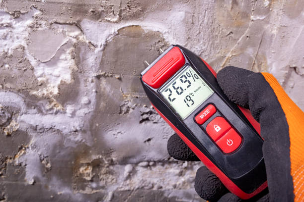 Best Residential Mold Remediation in Newton, IL