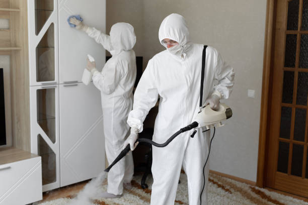 Best Industrial Mold Remediation in Newton, IL