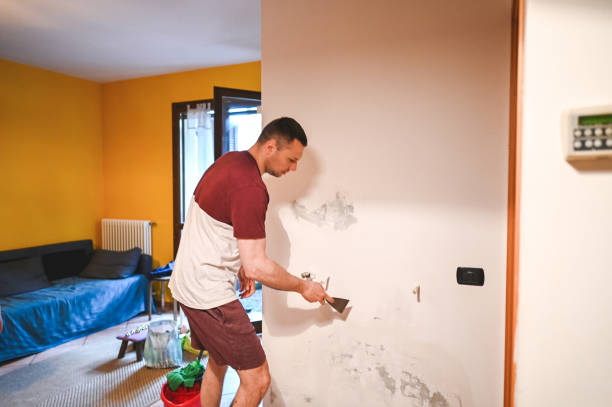 Best Basement Mold Remediation in Newton, IL